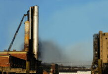 Brussels Soil Crisis Exposed as COP30 Report Warns of Severe Degradation Researchers warn nearly all Brussels soil is critically degraded, urging urgent action on regenerative farming and soil-focused climate policies