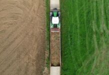Belgium’s Record Potato Harvest Brings Woes for Farmers Amid Export Decline Farmers harvest potatoes in Flanders as Belgium records its biggest crop amid fears of declining global fries demand