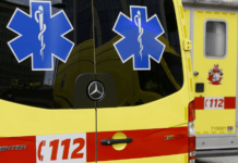 Fallen Tree Triggers Multi-Vehicle Crash on Belgium’s E40 Motorway Near Hognoul Emergency crews work on the E40 near Hognoul after a fallen tree caused multiple vehicle collisions Tuesday night on motorway