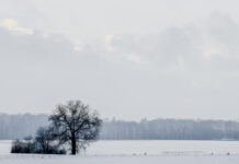 Snow and Frost Forecast to Follow Week of Rain Across Belgium Cars drive cautiously through snowy Ardennes roads as temperatures drop and winter weather grips eastern Belgium over the weekend